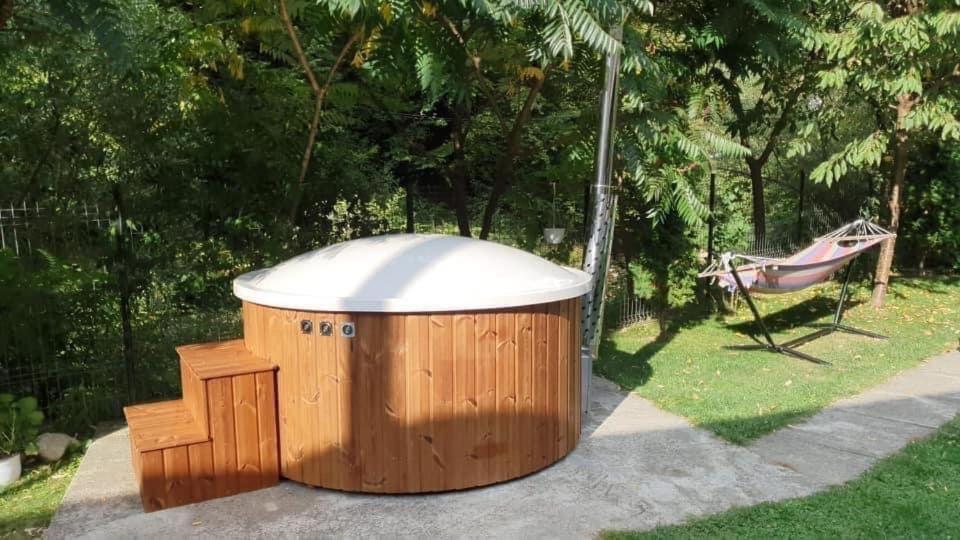 Pensiunea Silva Dobra Sugag Exterior photo