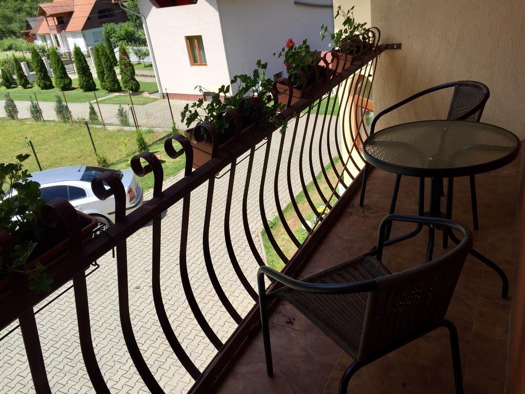Pensiunea Silva Dobra Sugag Exterior photo