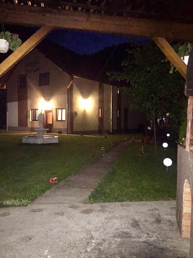 Pensiunea Silva Dobra Sugag Exterior photo